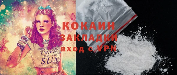 шишки Майский