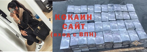шишки Майский