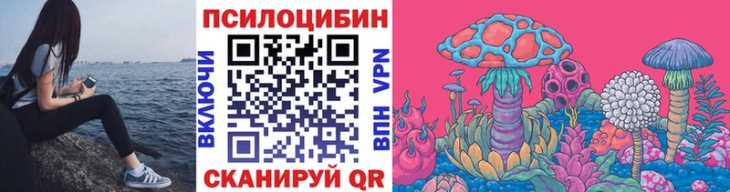 Купить  Дзержинск  Псилоцибиновые грибы мицелий 