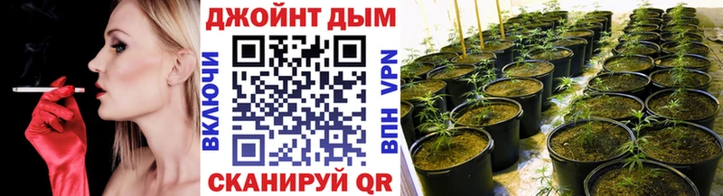 Бошки Шишки SATIVA & INDICA  Купить где  Дзержинск 